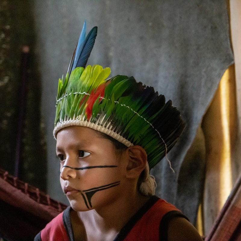A língua indígena no Brasil A língua indígena no Brasil