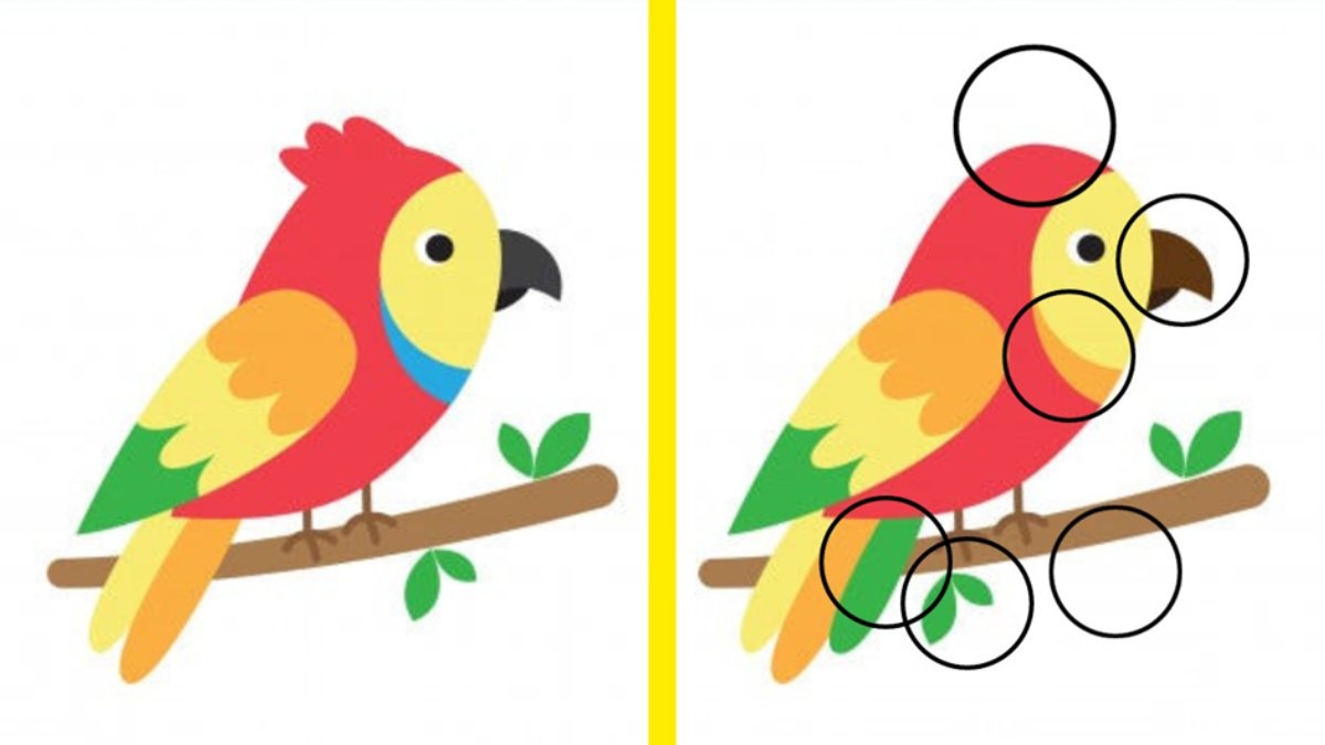 identificar as 5 diferenças