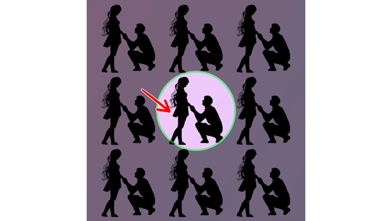 Identifique o casal diferente