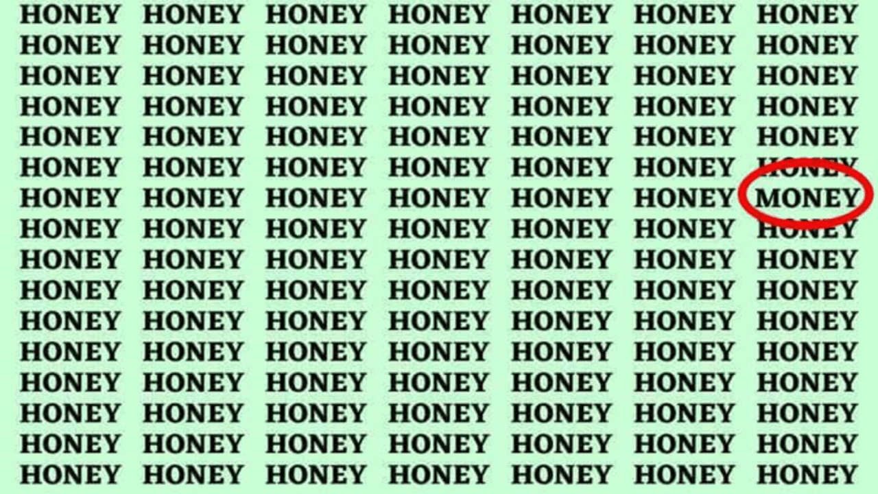 encontrar a palavra money