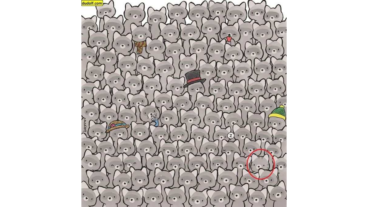 encontrar o gato oculto