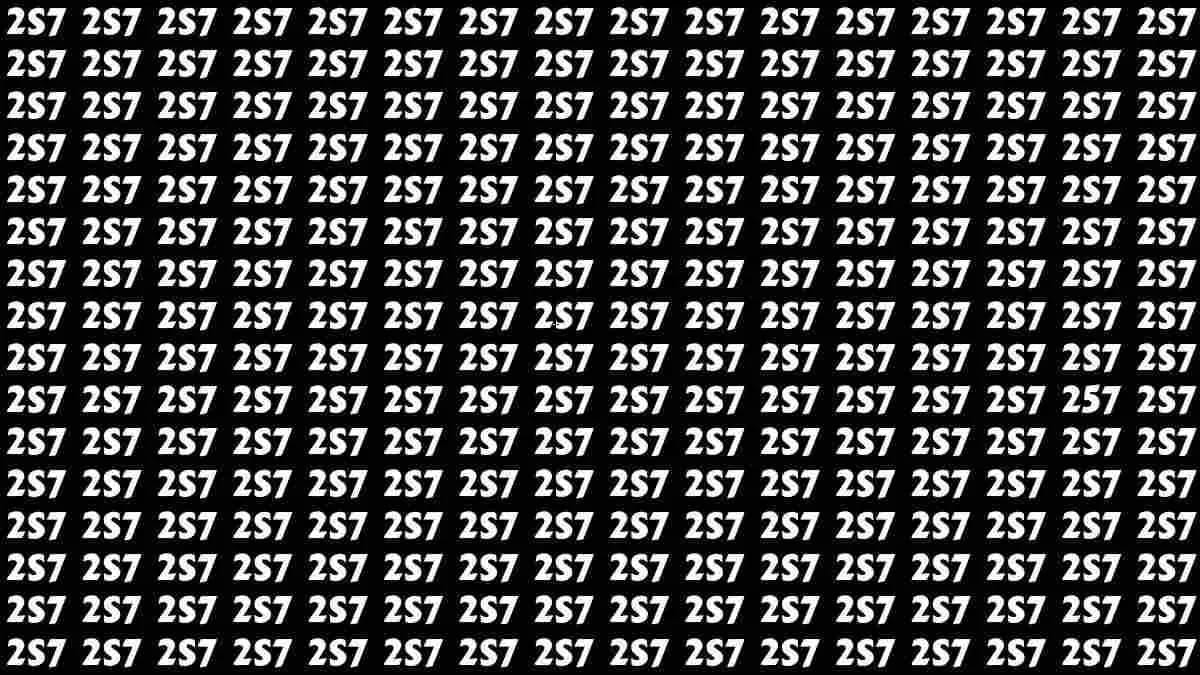 Teste de ilusão de ótica: Apenas 3% das pessoas consegue encontrar o número 257 na imagem em 10 segundos