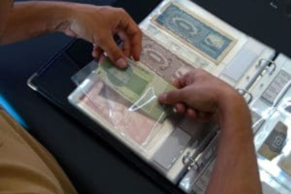 Dicas para os NOVATOS em COLEÇÃO DE NOTAS E MOEDAS