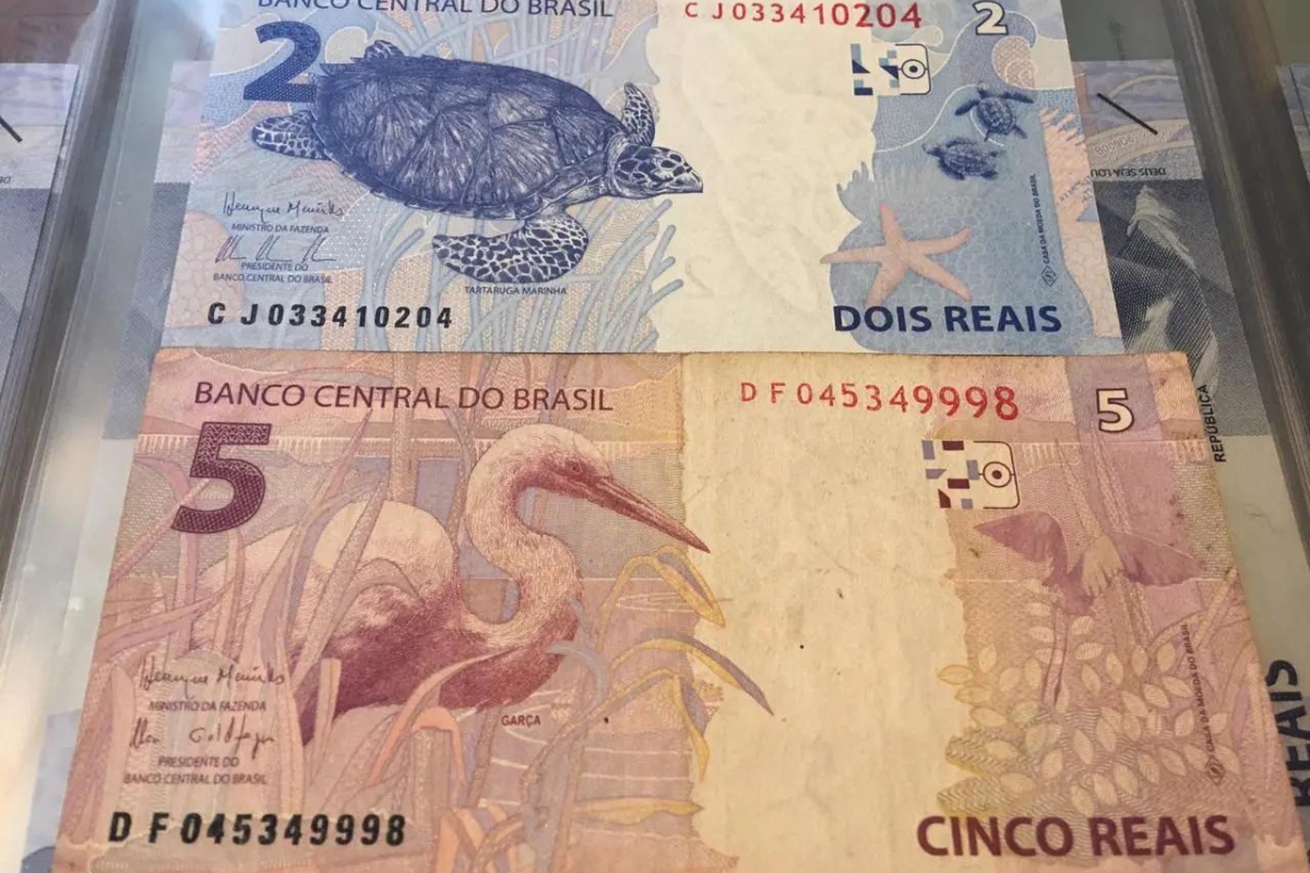 Por que existem tantos animais nas cédulas de Real?