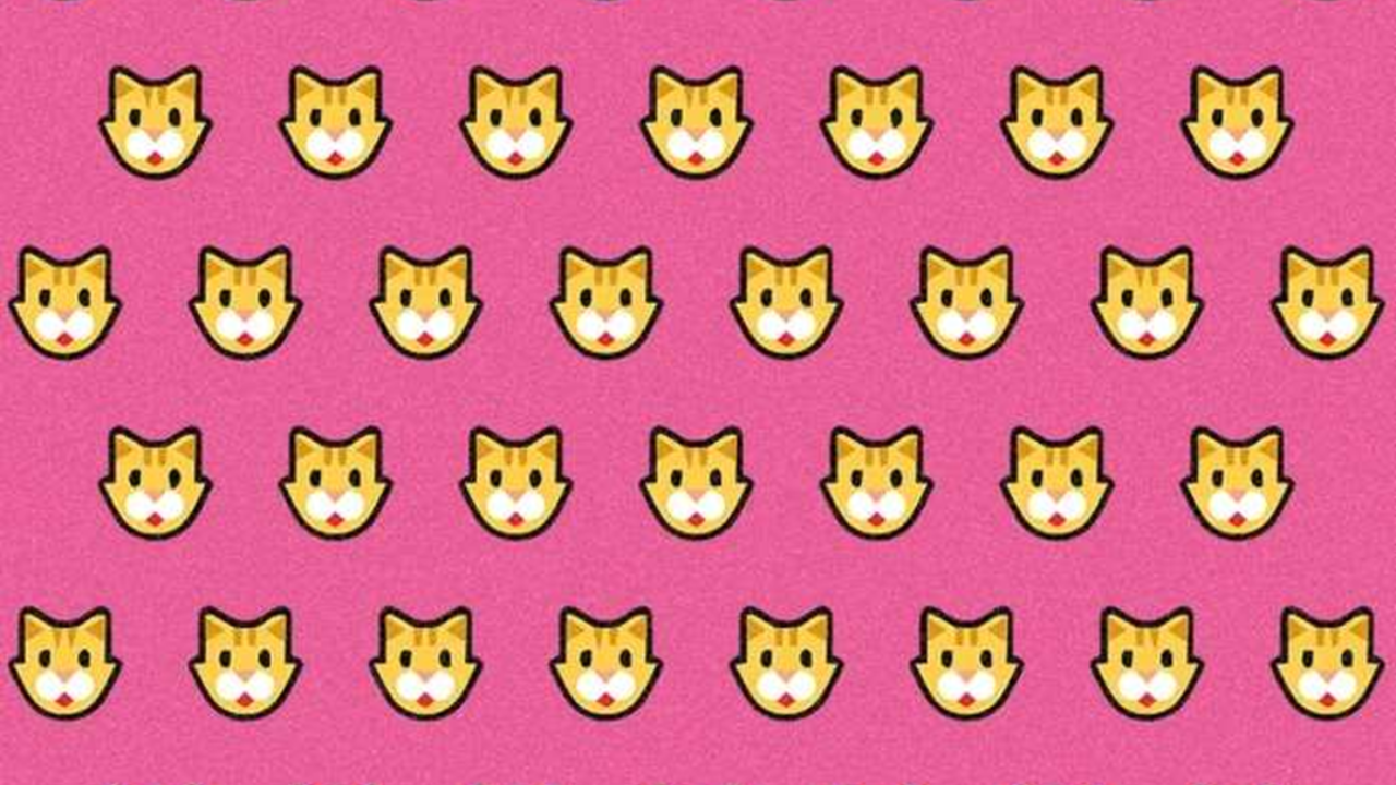 Gato diferente