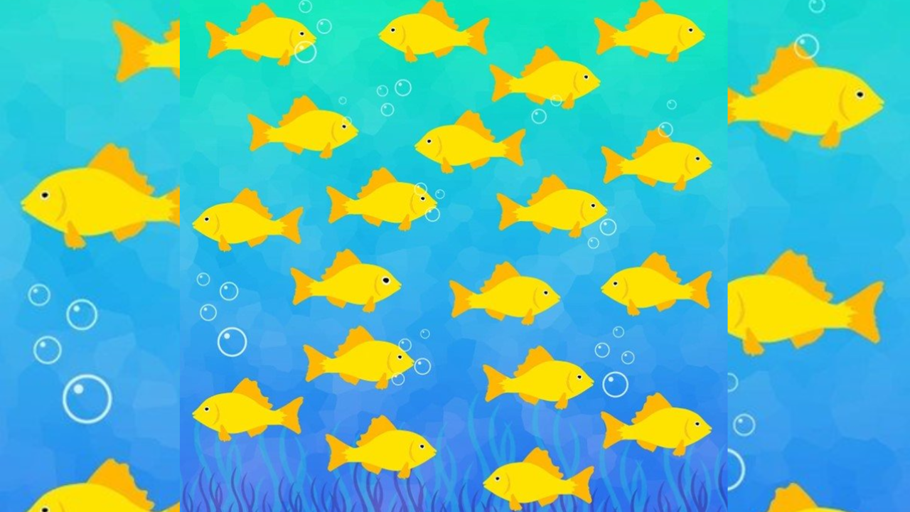 Identifique o peixe diferente