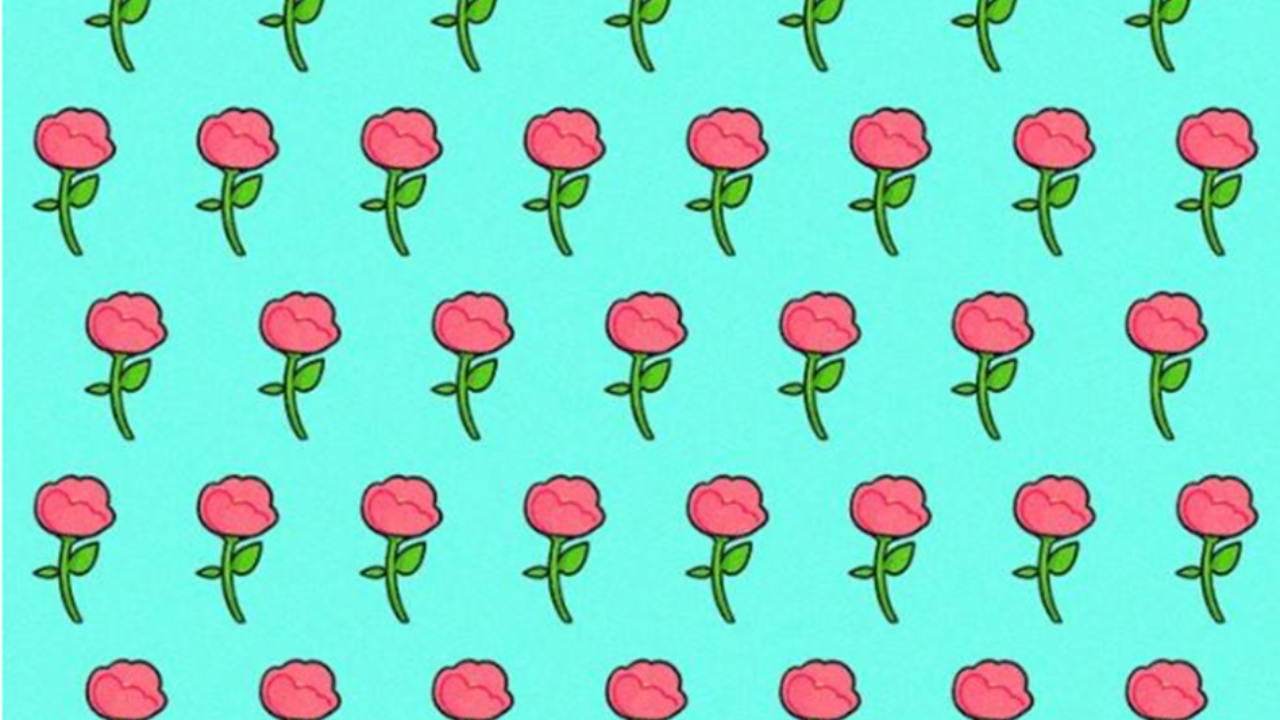 Rosa desigual