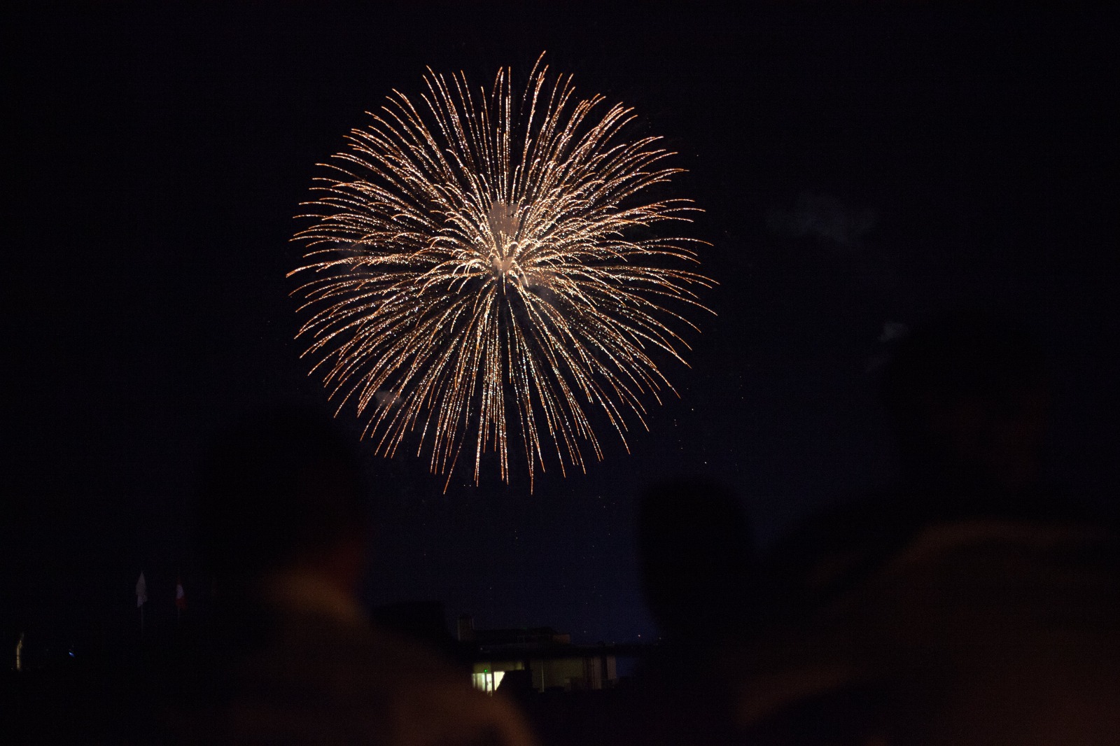 Veja 5 dicas para proteger o seu cachorro dos fogos de artifício