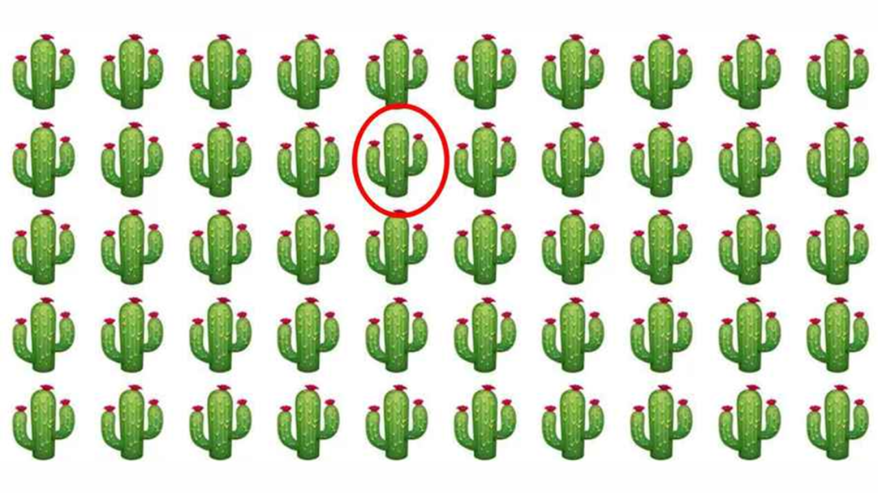 cacto diferente