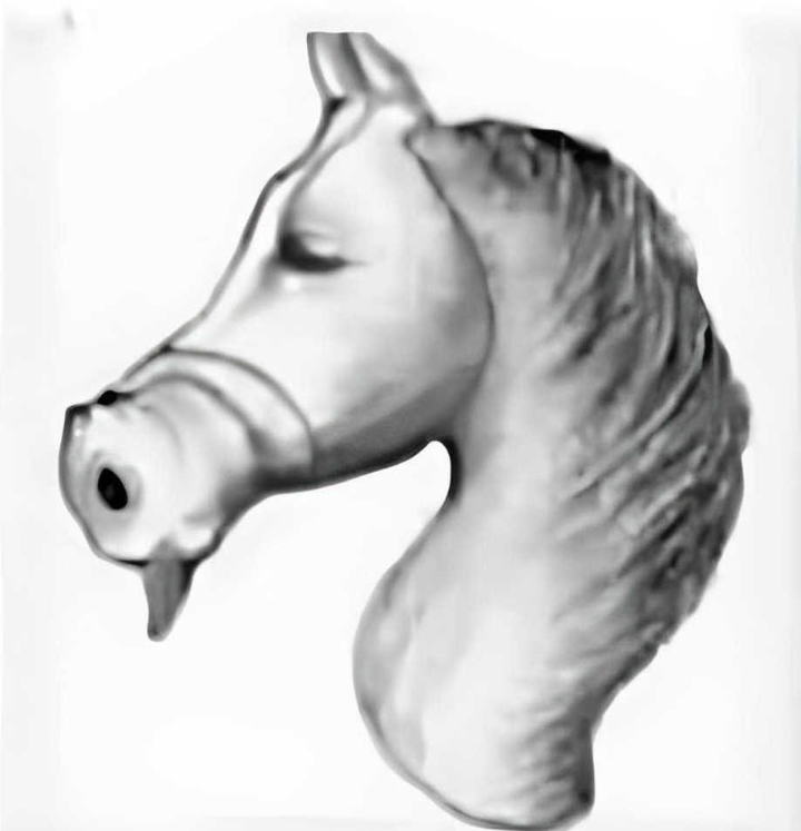 Quebra cuca: encontre o cavalo na imagem em instantes