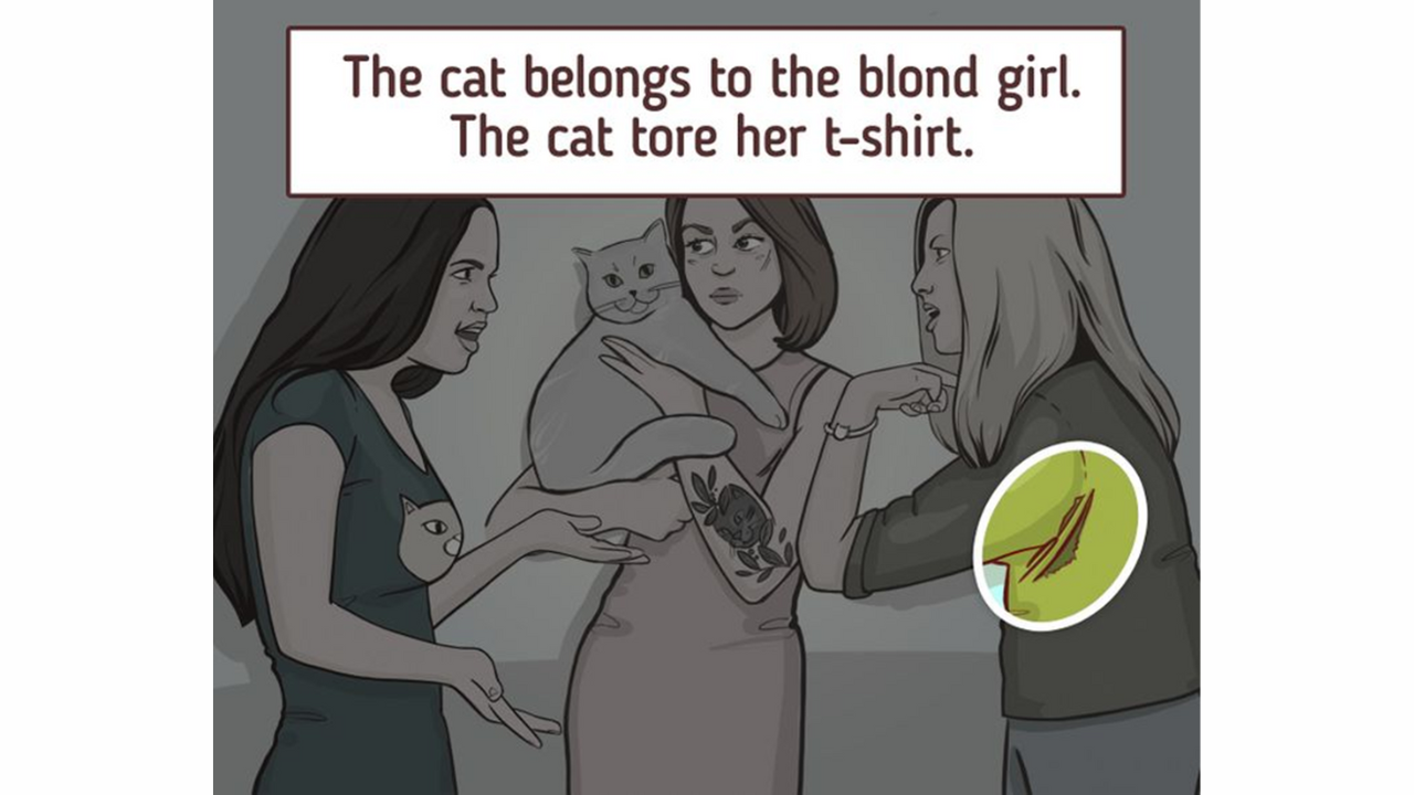 dona do gato