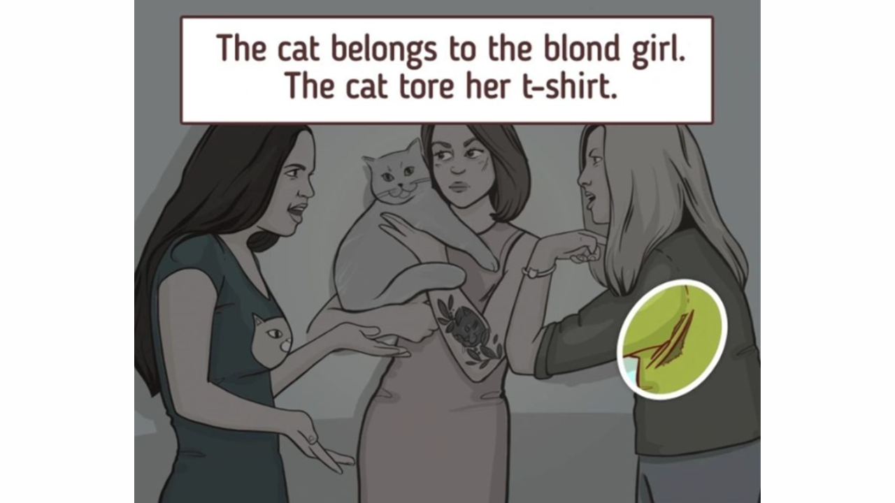 dona do gato