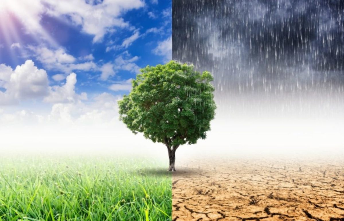 O clima pode fazer as pessoas falarem mais alto ou mais baixo; entenda