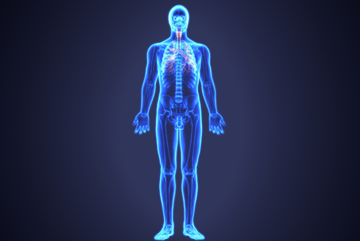 19 curiosidades sobre o Corpo Humano que vão te deixar de queixo caído