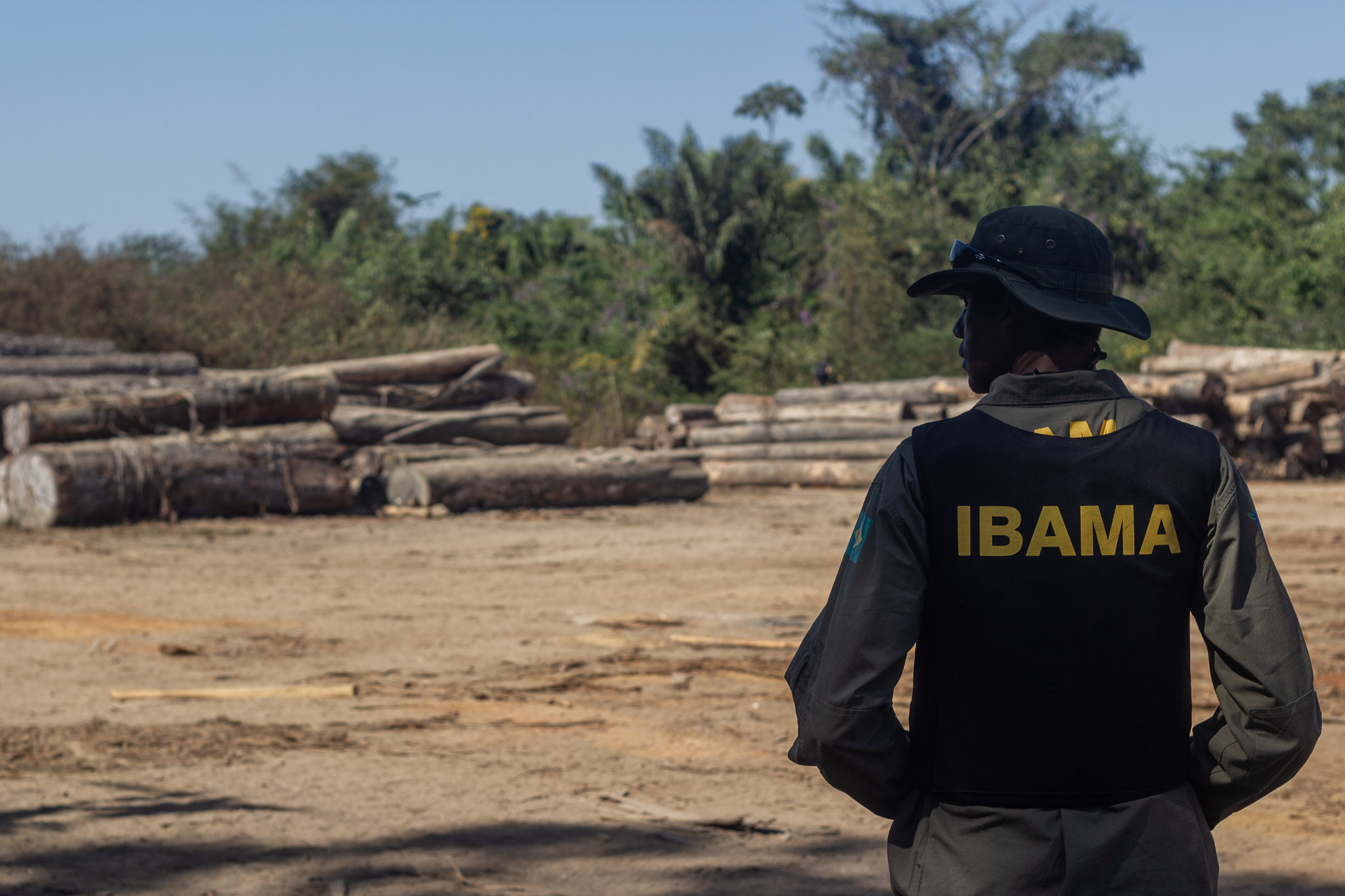 Novo concurso do IBAMA em 2024: confira os detalhes