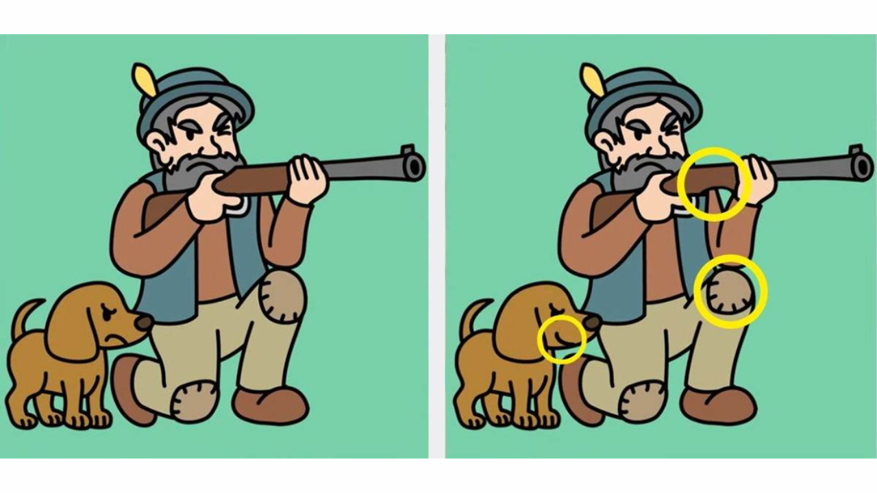 Encontre as 3 diferenças