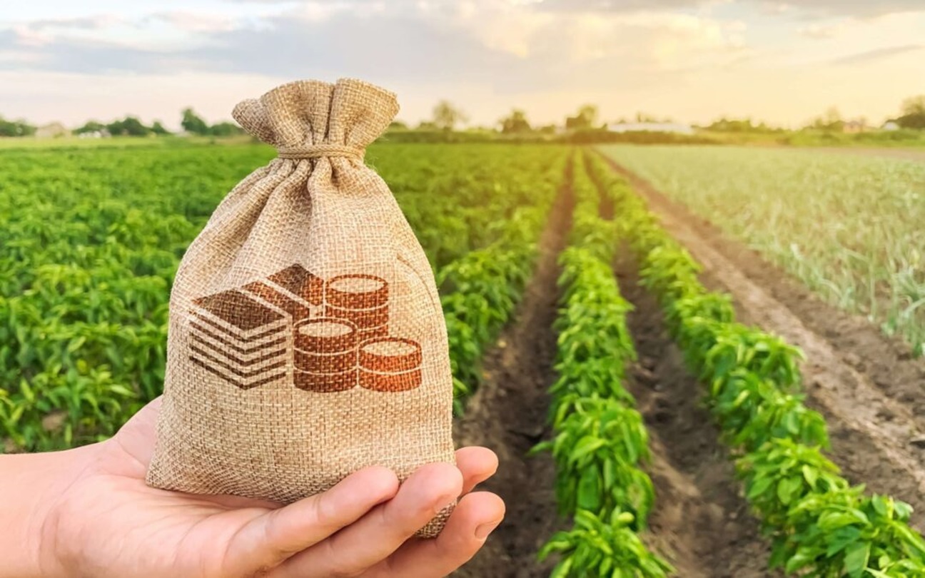Salários de até R$ 25 mil: Profissões em alta no agro para 2024