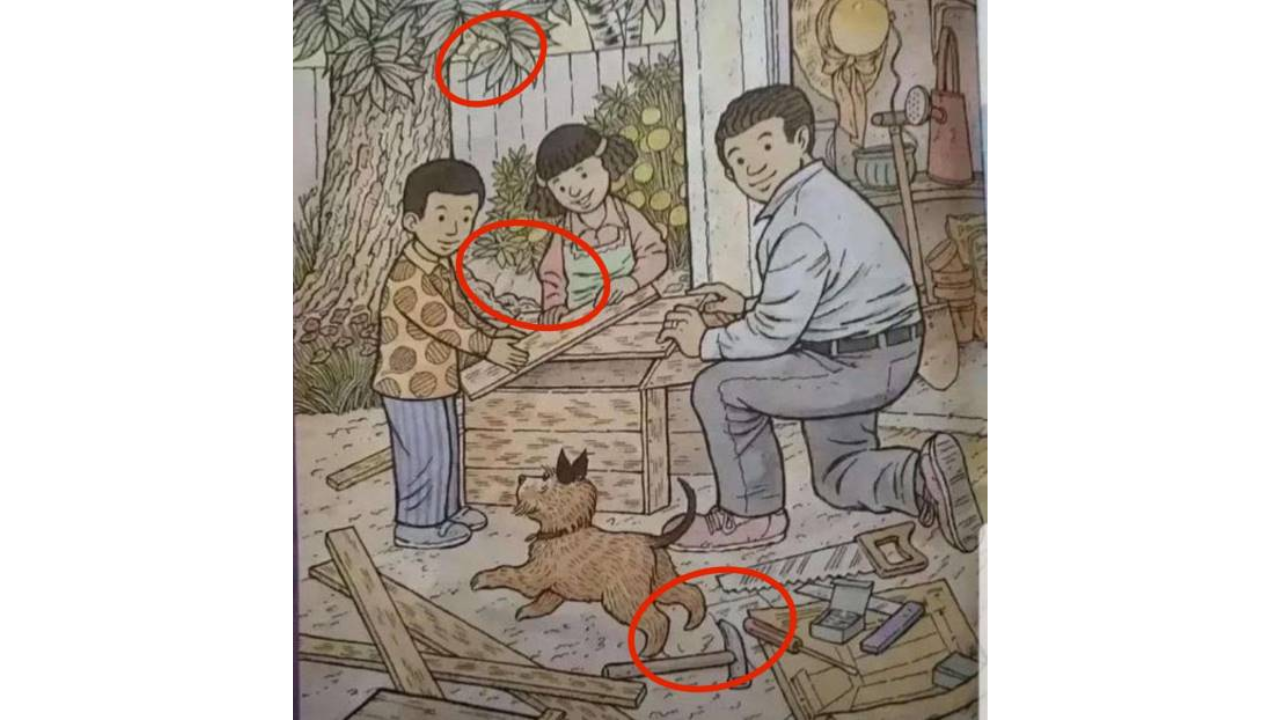 animais escondidos