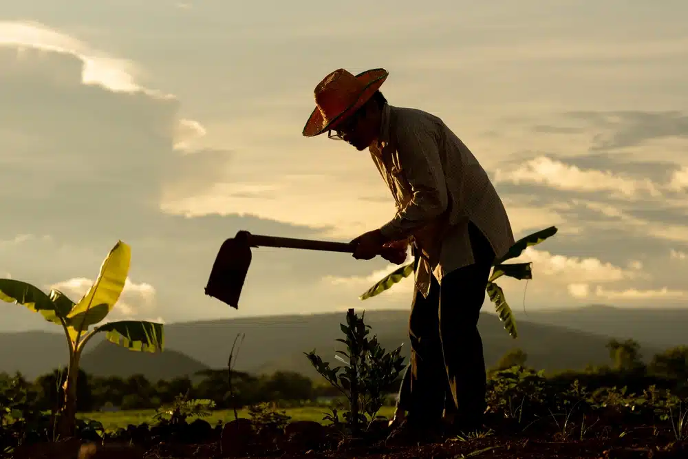 TUDO sobre a aposentadoria rural por idade em 2024: Mudanças e requisitos