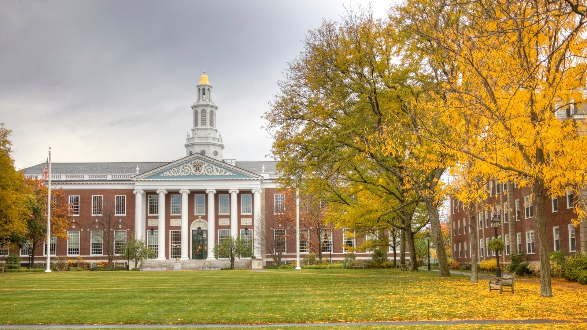 OPORTUNIDADE: Universidade de Harvard abre inscrições para cursos GRATUITOS online
