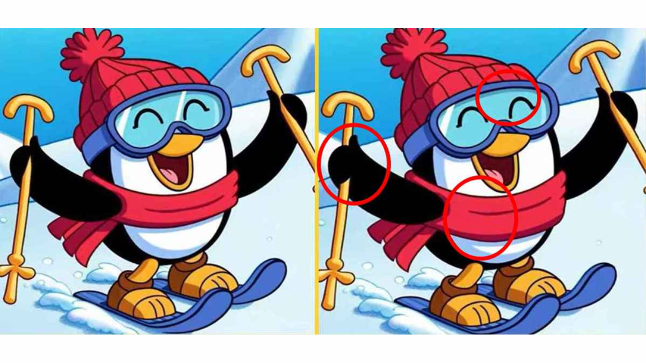 imagens dos pinguins