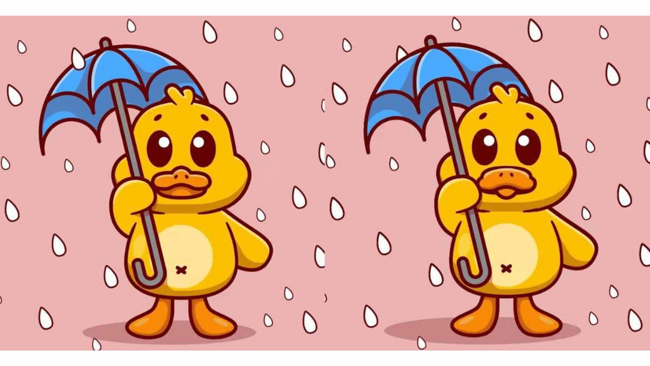patinho na chuva