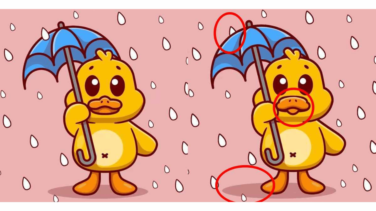 patinho na chuva