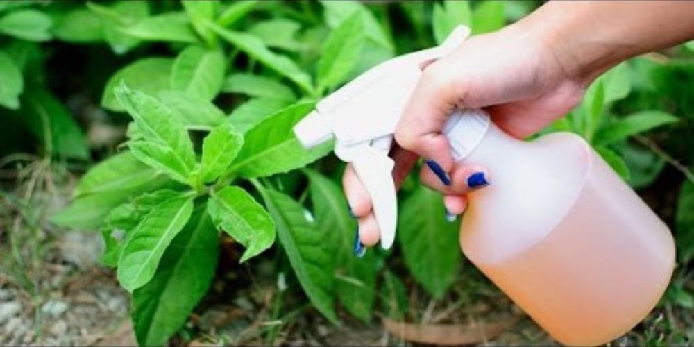 4 funções do seu detergente que vão muito além de só lavar vasilha