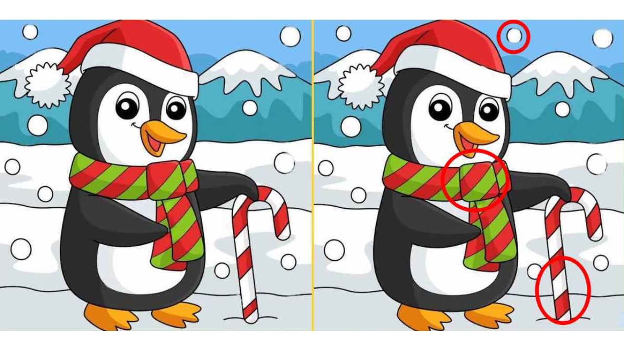 imagens do pinguim