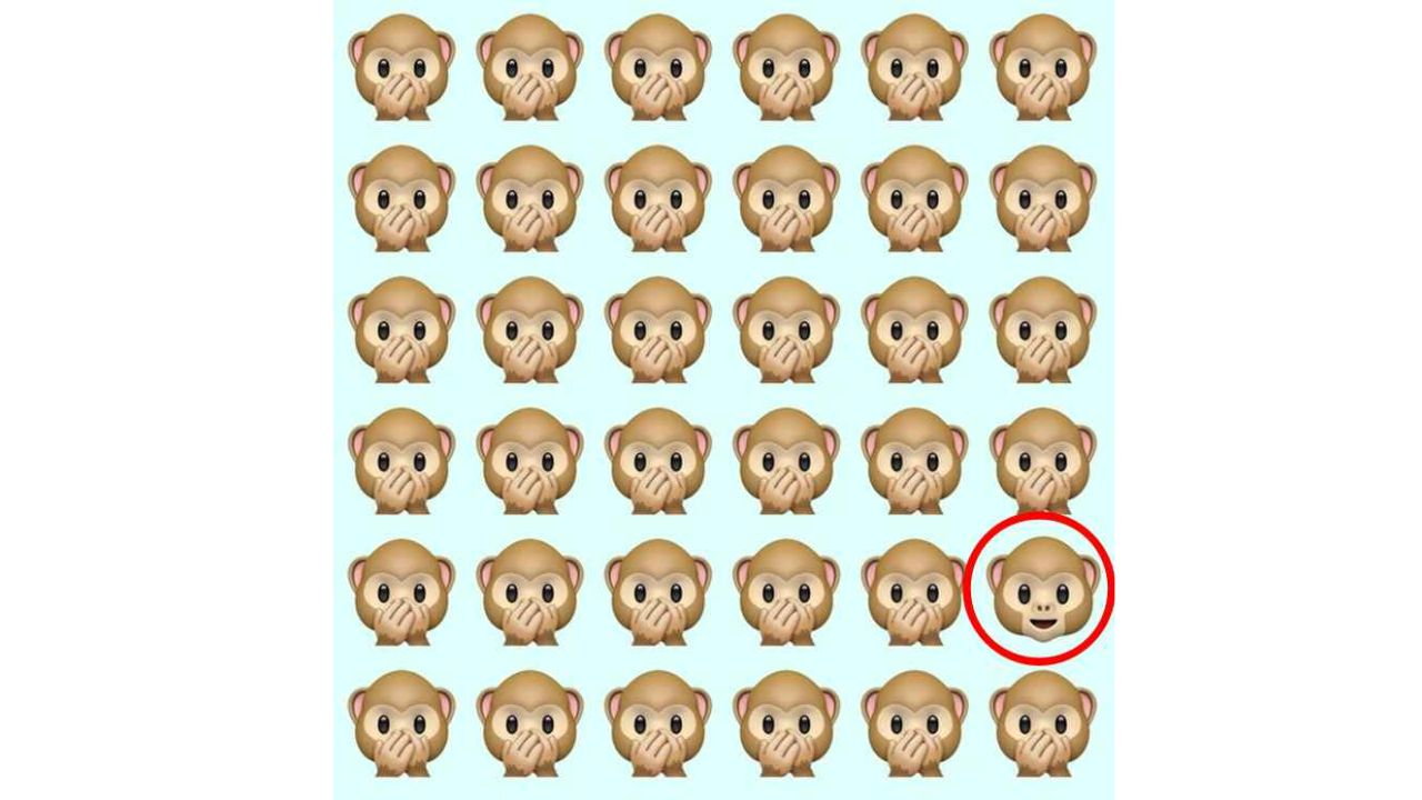 macaco diferente