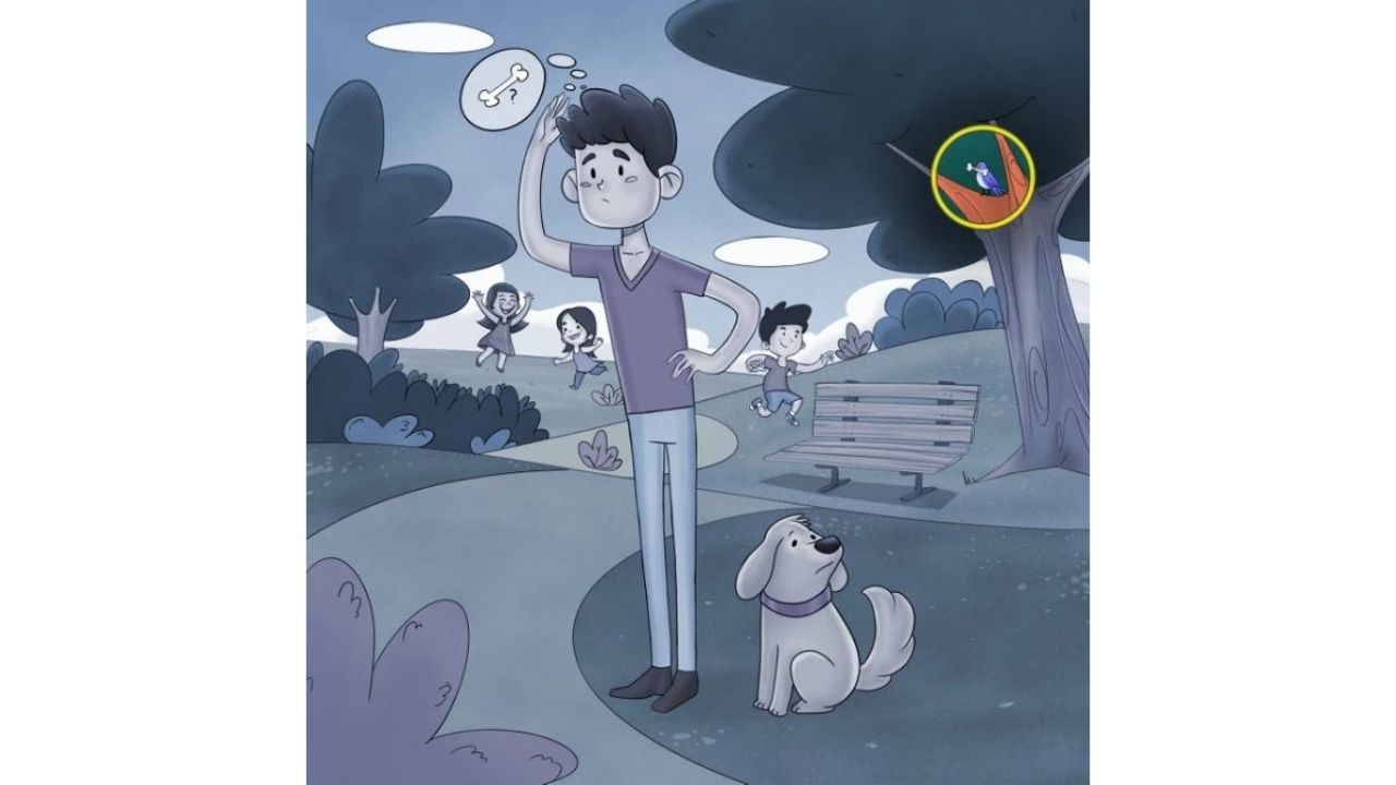 osso do cachorro