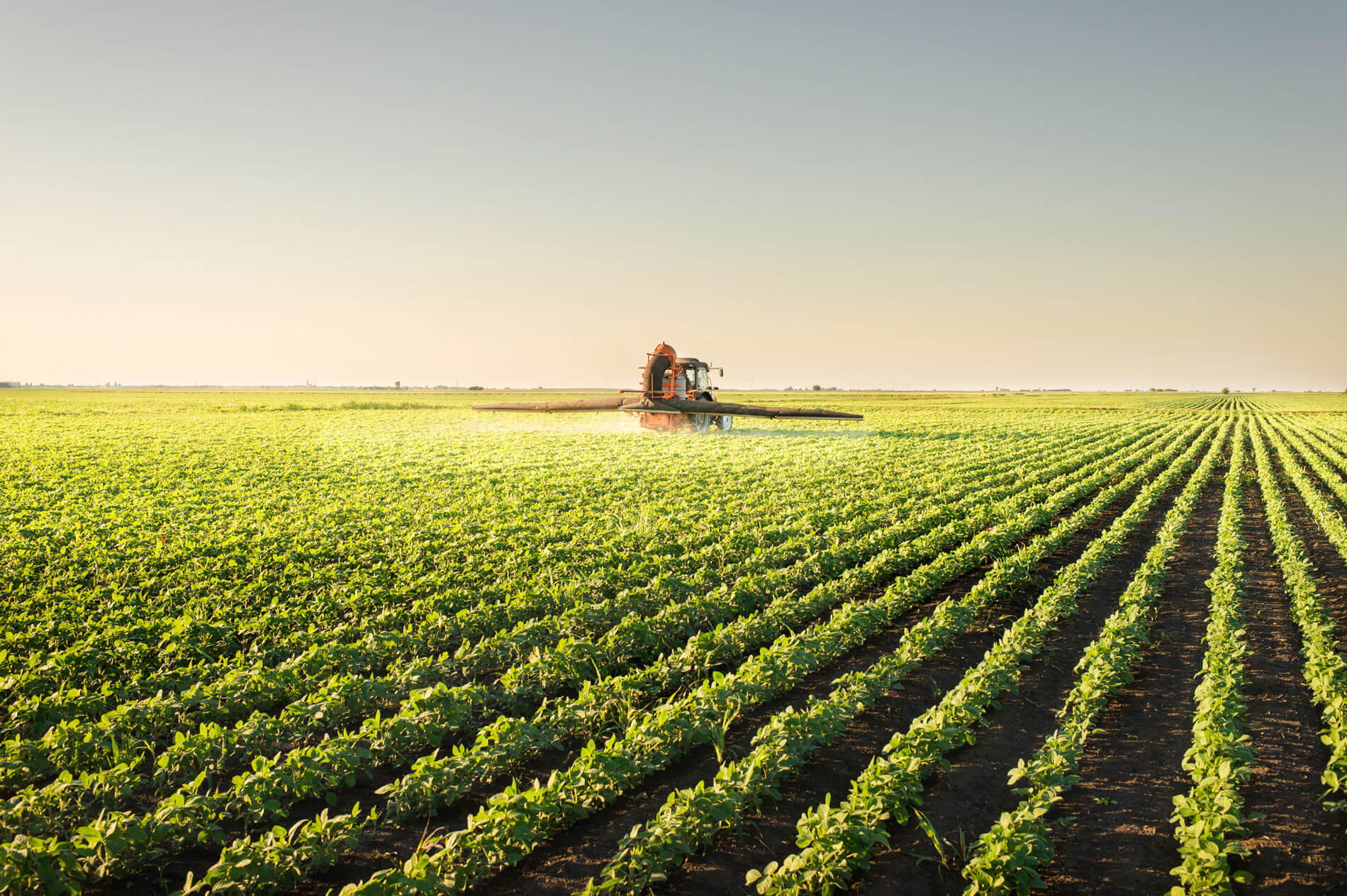 Conheça a profissão que está em alta no agronegócio e que tem salário de até R$ 15 MIL