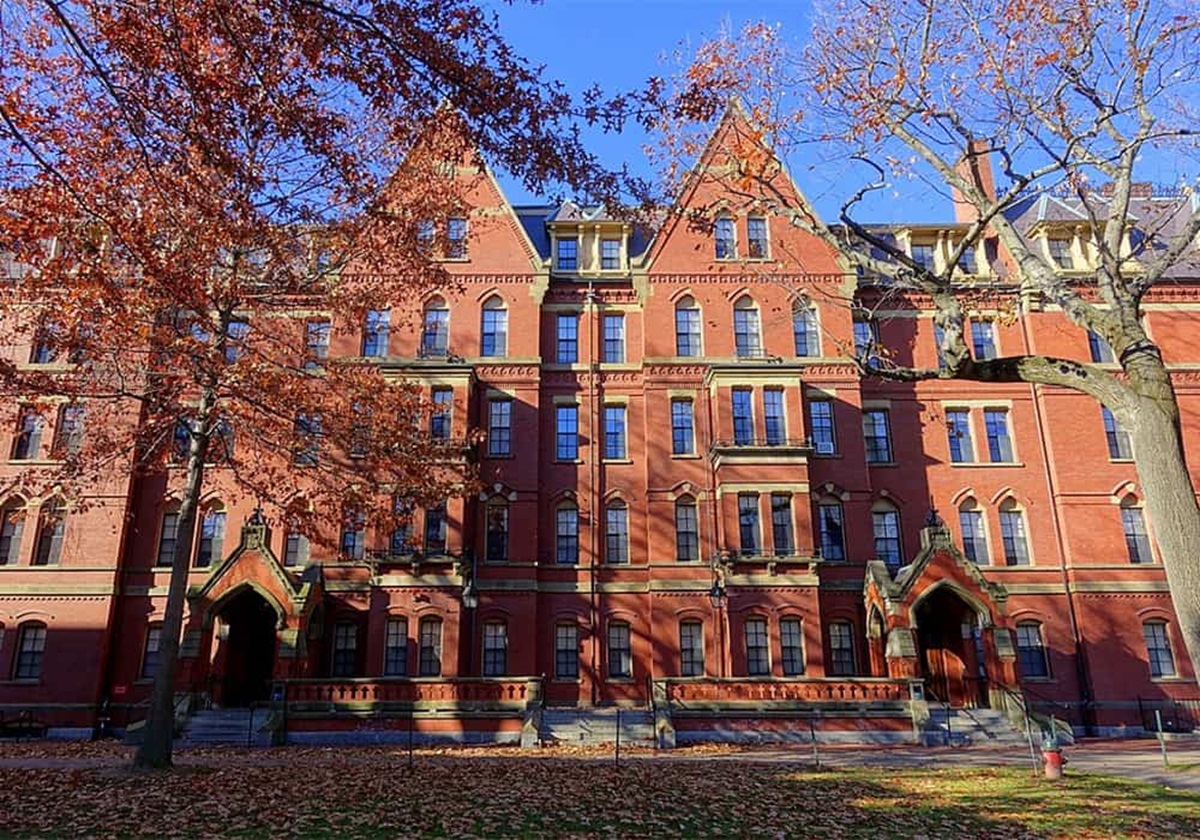 Oportunidade! Harvard oferece cursos gratuitos com legendas em português; saiba mais