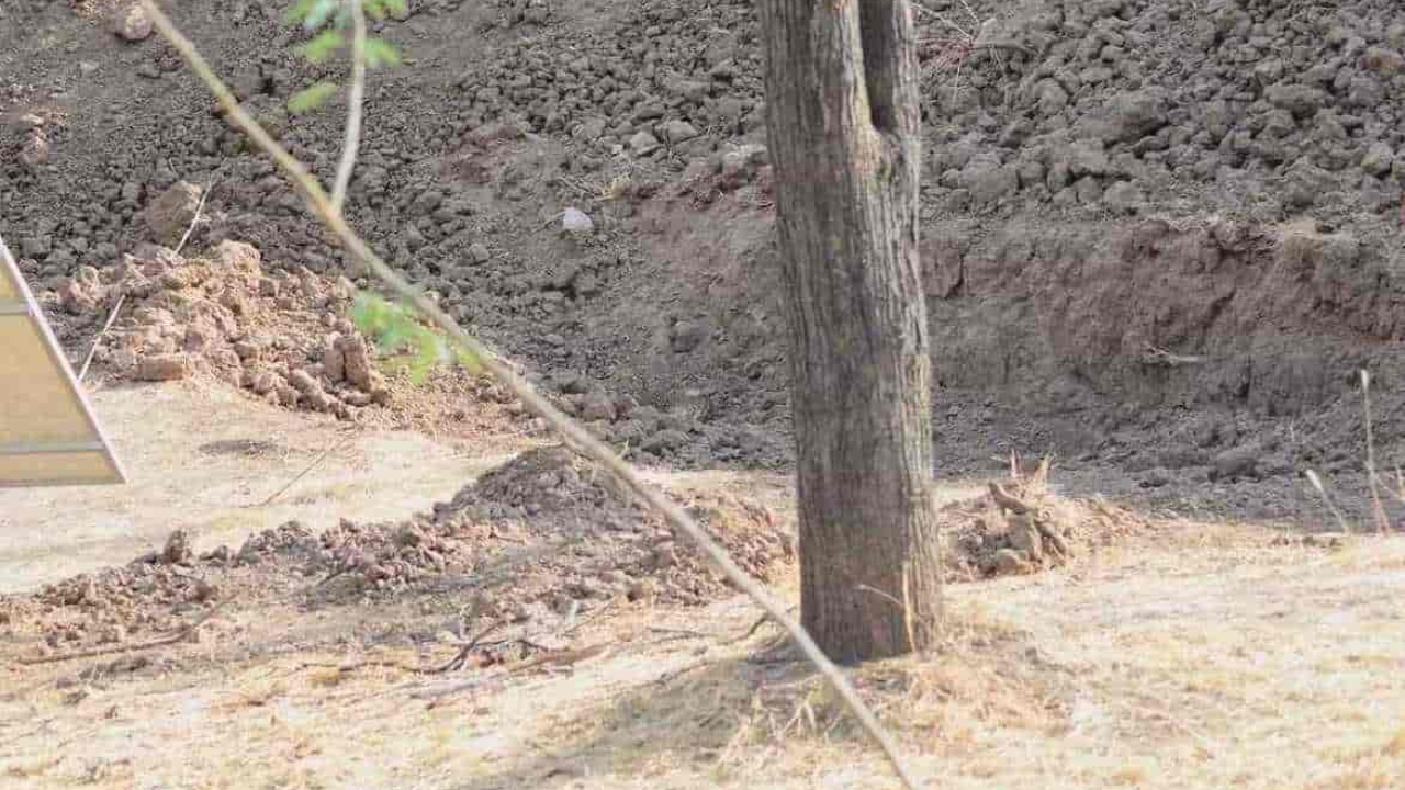 Fonte: Hemant Dabi