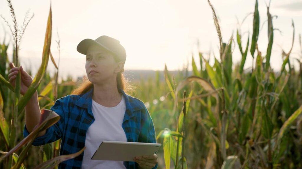 Estas 7 profissões são ideais para quem quer trabalhar no campo Estas 7 profissões são ideais para quem quer trabalhar no campo