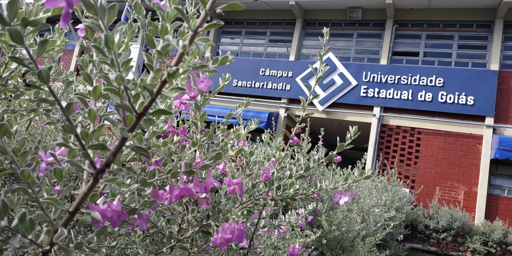 Vestibular de Medicina 2024/2 UEG