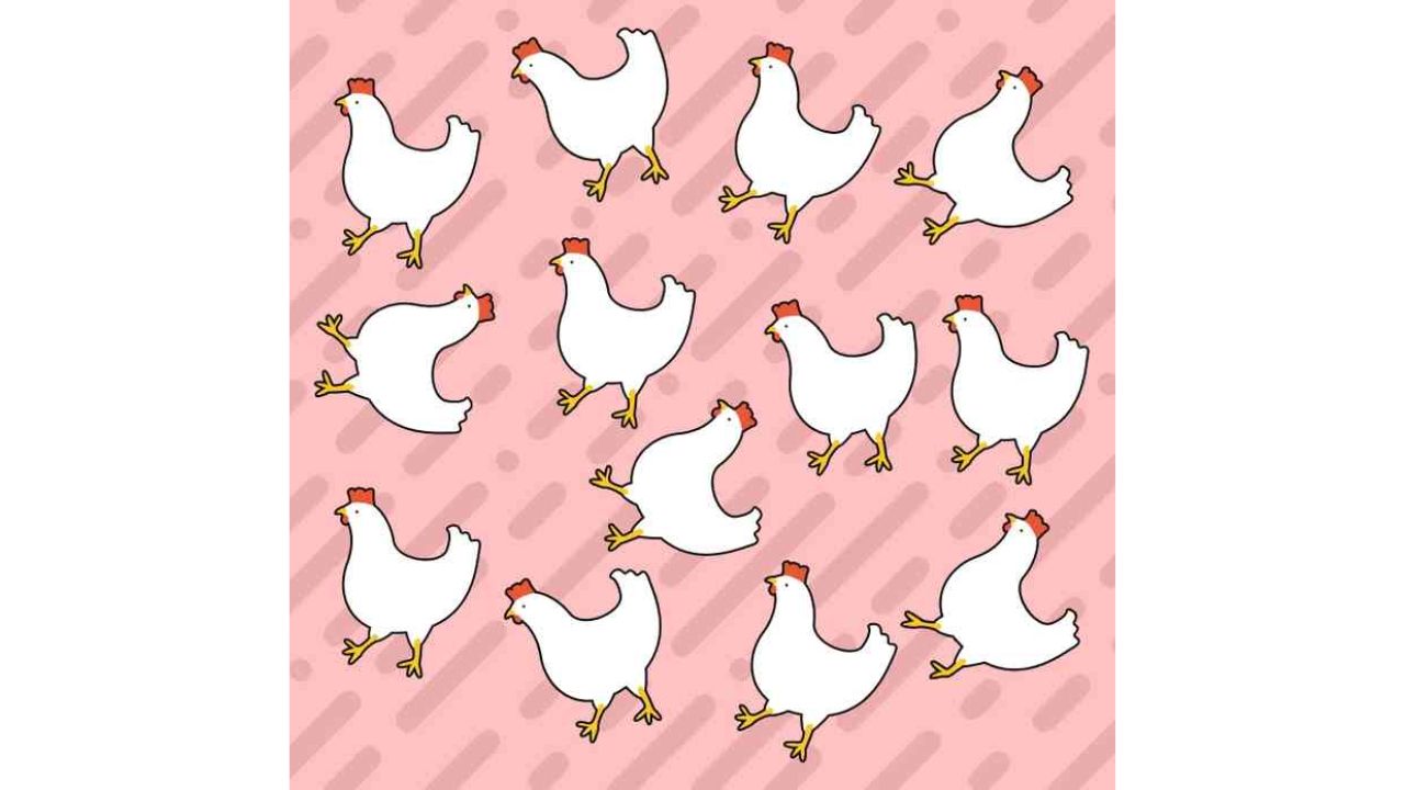 Desafio visual encontre o frango unico