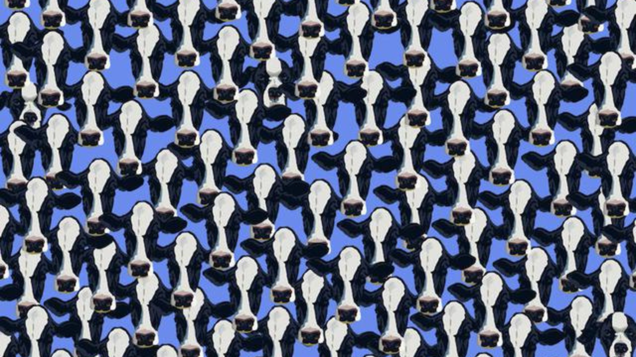 Desafio visual: onde estão os cachorros escondidos? Imagem: Sabedoria Pura/Reprodução.