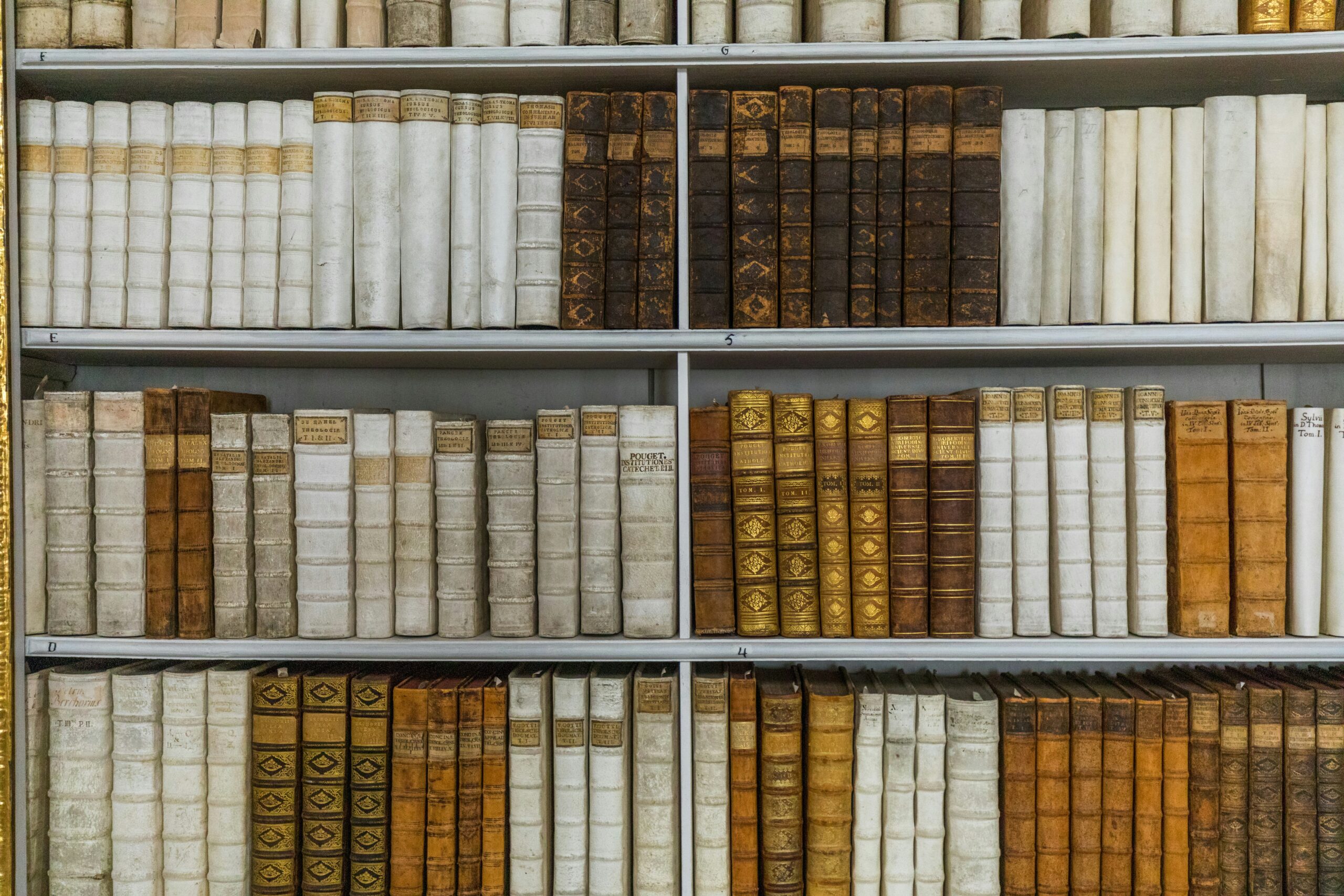Literatura de catequese: raízes históricas e impacto (Foto: Unsplash).
