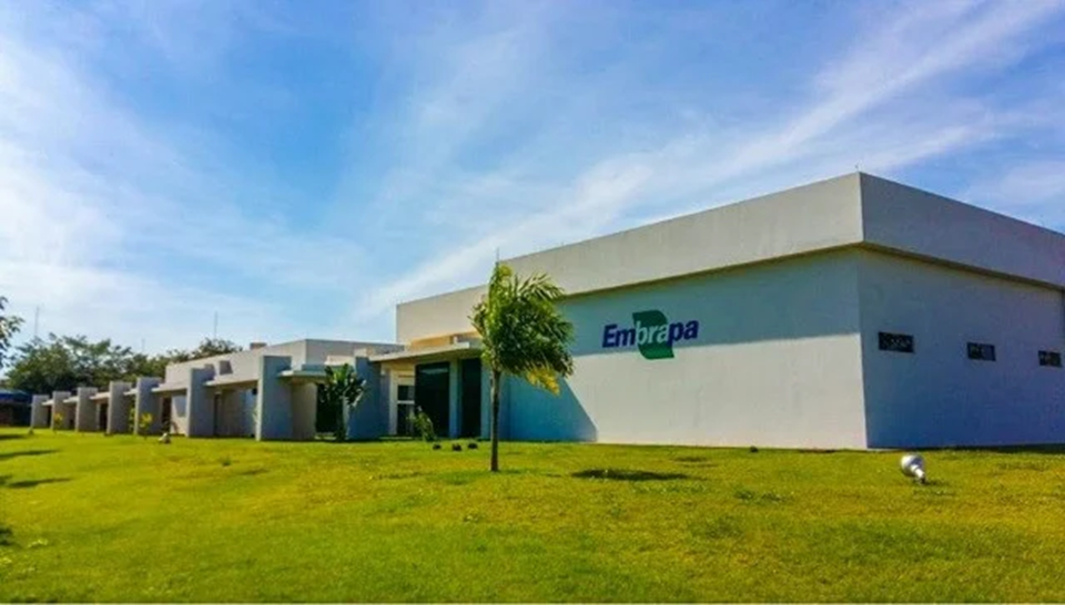 Edital do concurso da Embrapa deverá ser publicado em junho