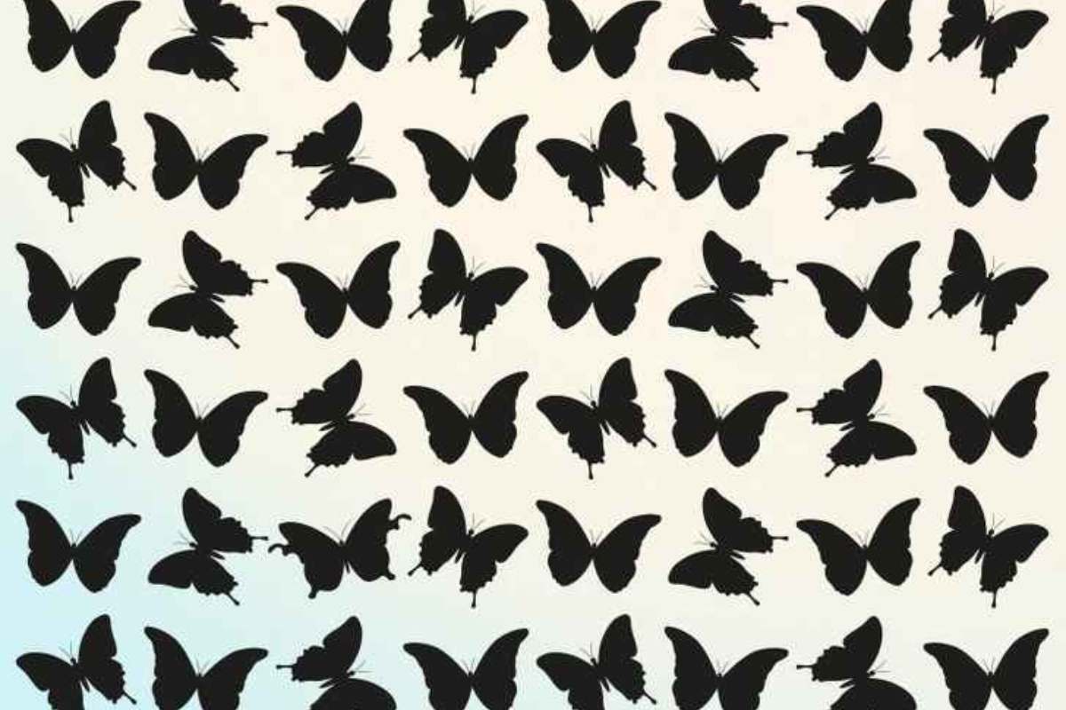Encontre a borboleta que é diferente de todas as outras. Imagem: Genial/Reprodução.