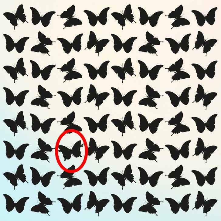 Resposta do desafio da borboleta diferente.