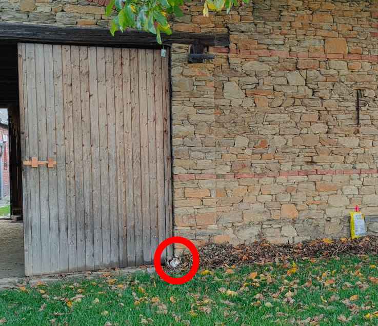 Resposta de onde está o gato.