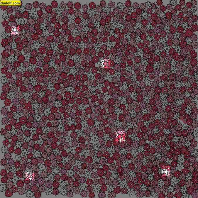Resposta de onde estão as 5 estrelas entre esse mar de flores.