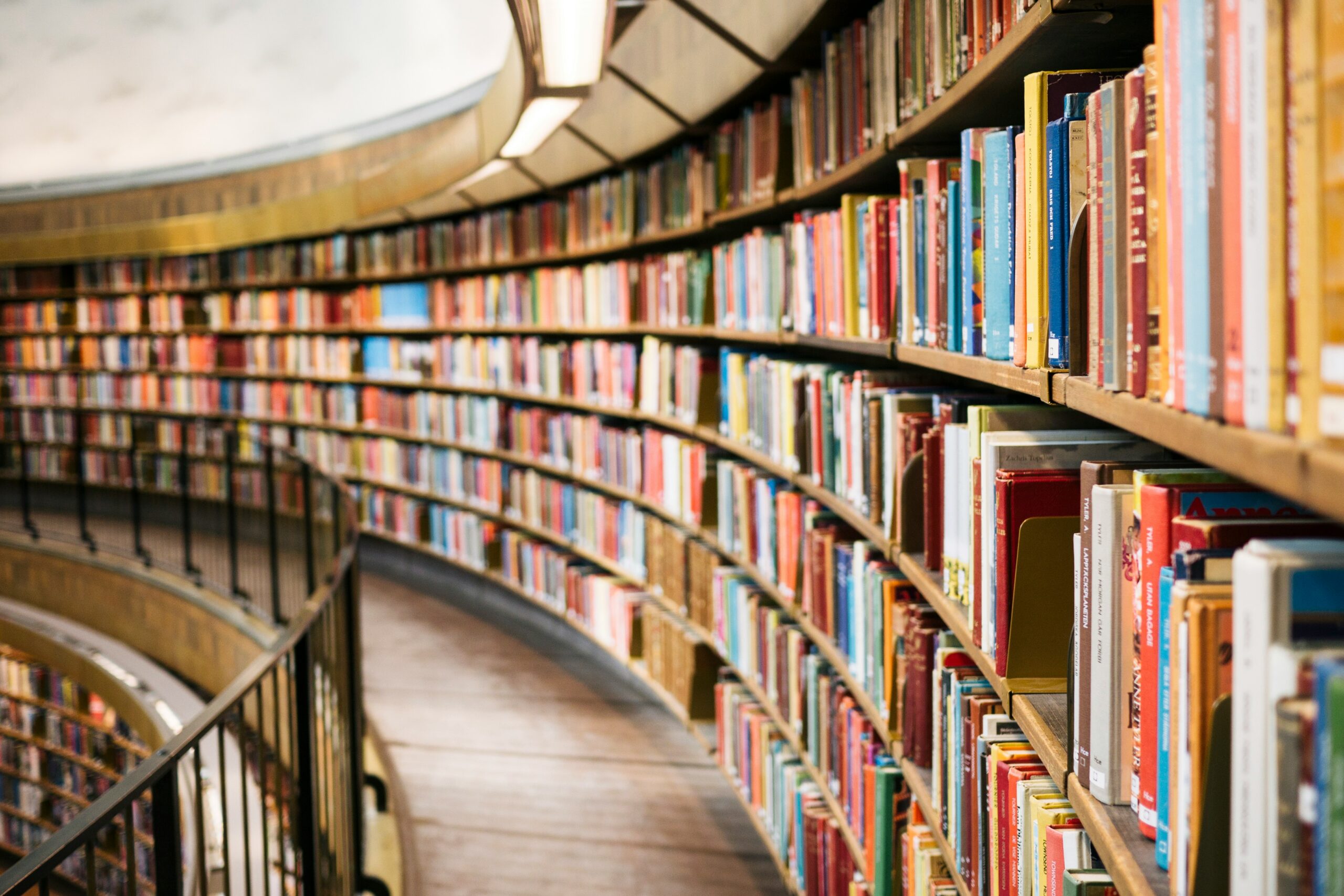 Conceição Evaristo – quem é, seus trabalhos e contribuição à literatura (Foto: Unsplash).