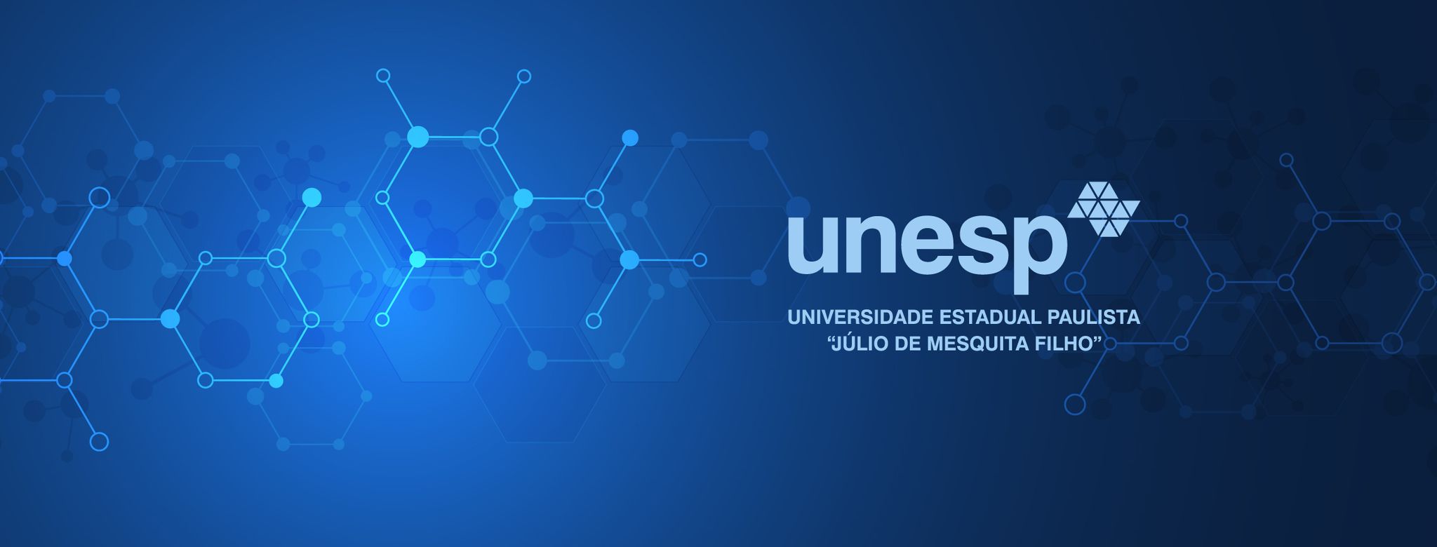 Vestibular Unesp 2025