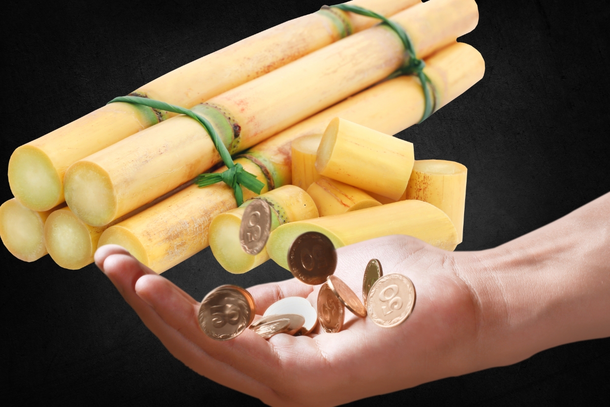 Você conhece a moedinha valiosa “cana-de-açúcar”? Saiba os detalhes que a fazem valer MILHARES de reais