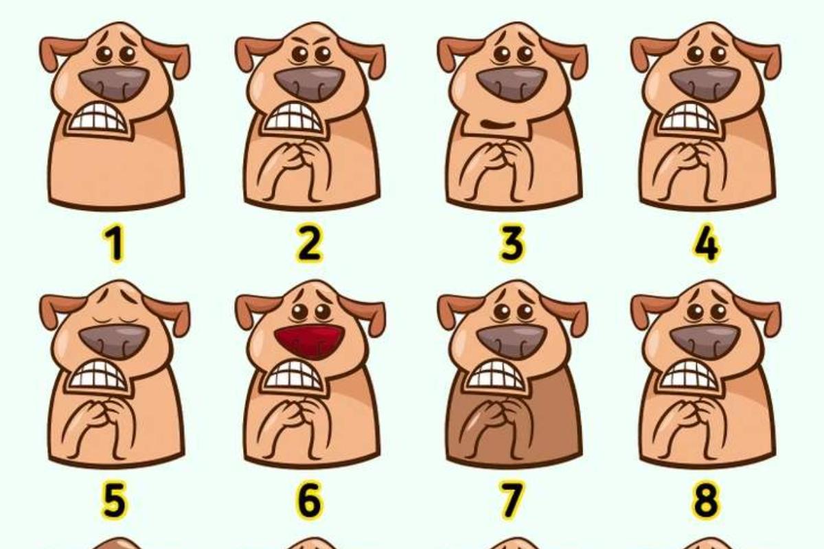Encontre os adesivos dos cachorros que são idênticos.