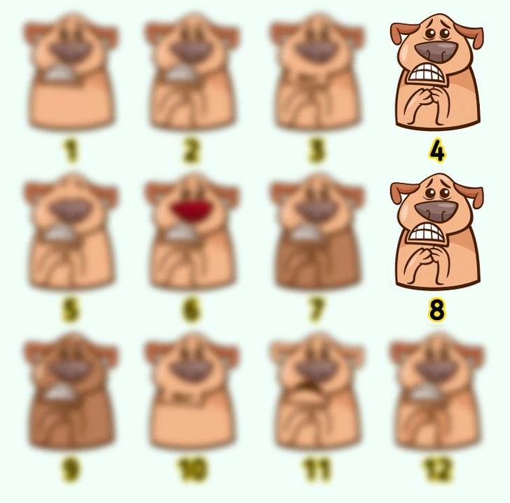adesivos de caes Resposta de onde estão os adesivos dos cachorros.