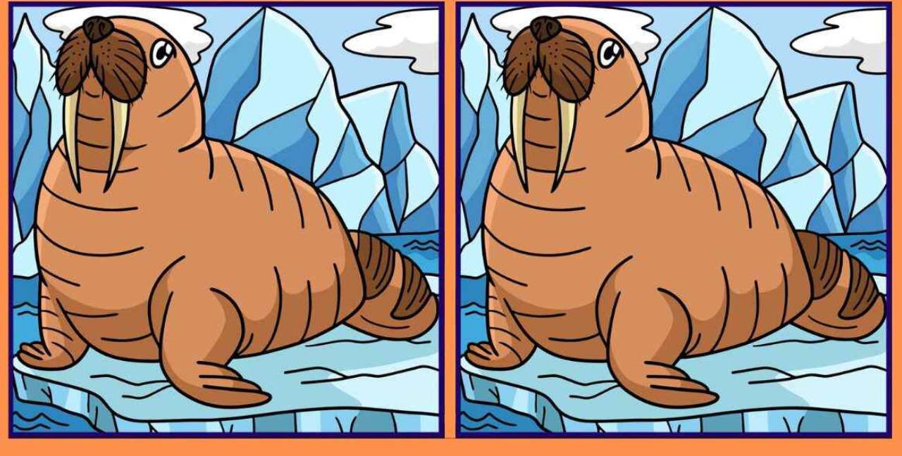 Encontre diferenças nas imagens